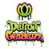 Graphic Design and Illustration