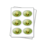 Oval Shaped Labels with raised UV and Foil Embellishments on a white sheet.