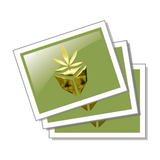 Raised UV and / or Raised Foil Rectangle Stickers