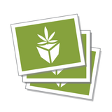 Rectangle Stickers