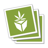 Square Stickers